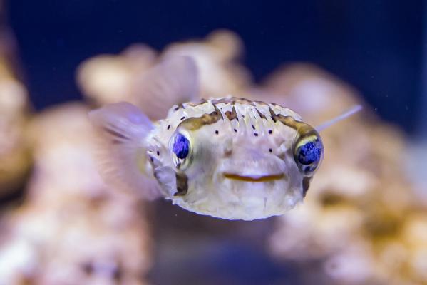 宝安科技馆