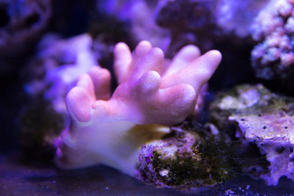 宝安科技馆