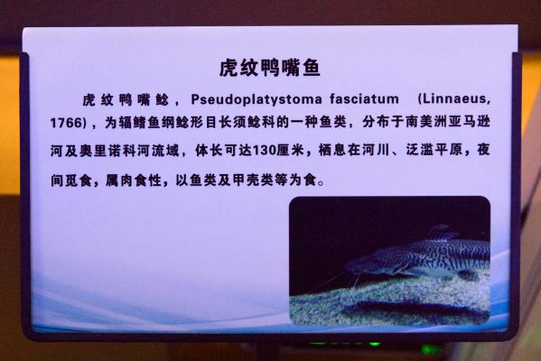 宝安科技馆