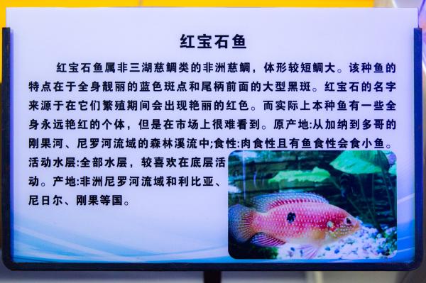 宝安科技馆