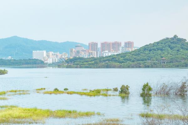 立新湖公园