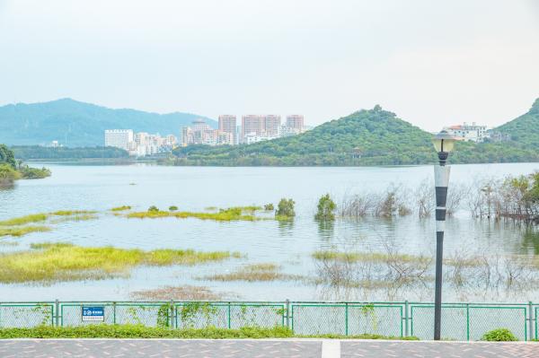 立新湖公园