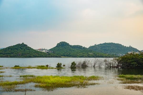立新湖公园