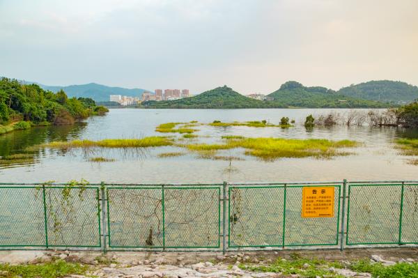 立新湖公园