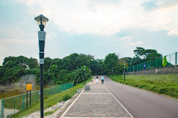 立新湖公园