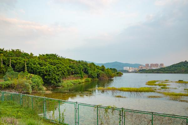 立新湖公园