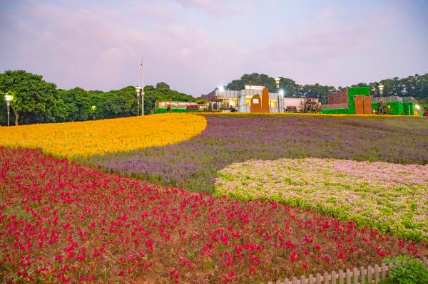 立新湖公园