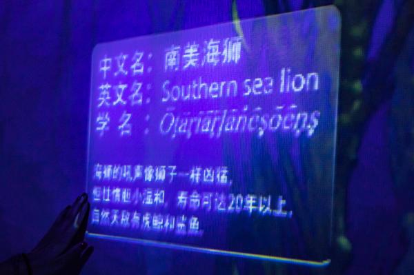 海洋奇梦馆