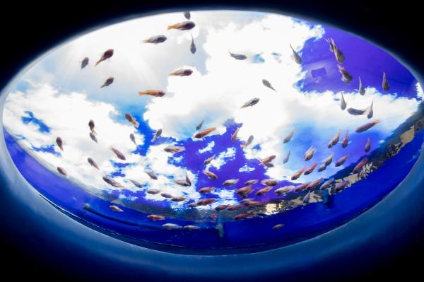 海洋奇梦馆