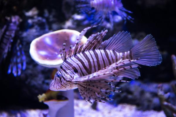 海洋奇梦馆