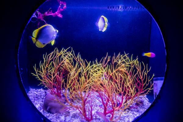 海洋奇梦馆