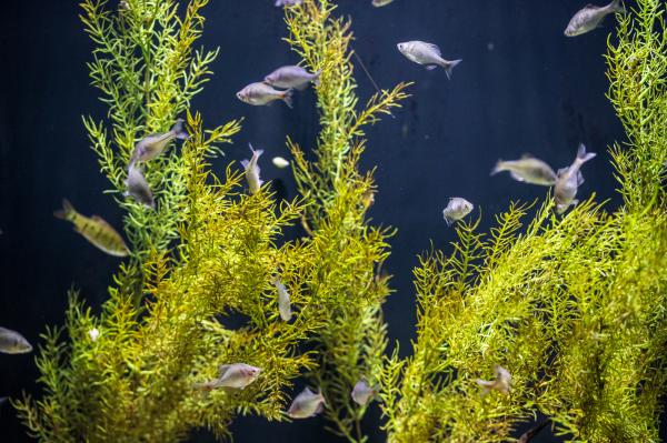 海洋奇梦馆