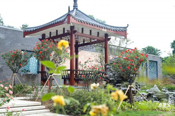 清湖文化公园