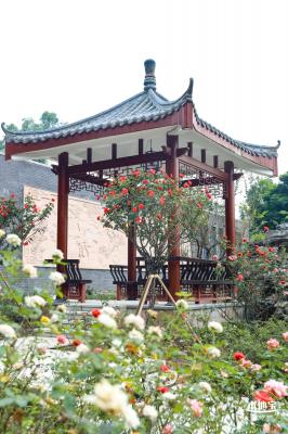 清湖文化公园