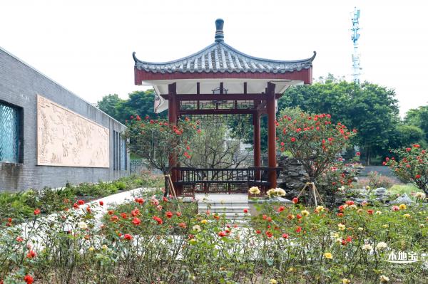清湖文化公园