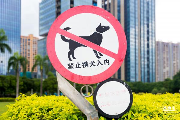龙华文化广场