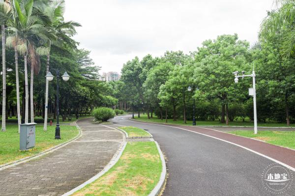 深圳中心公园