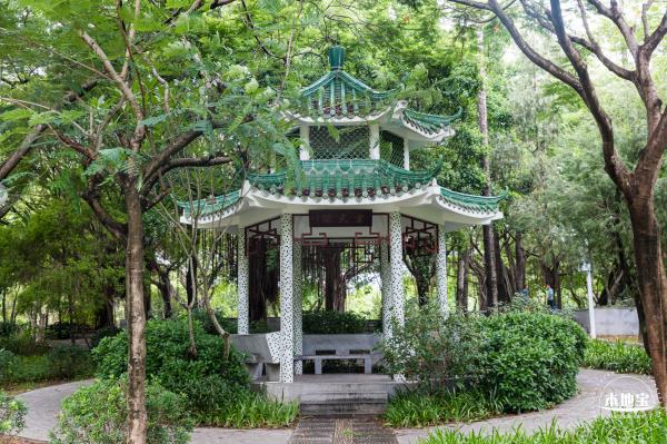 深圳中心公园