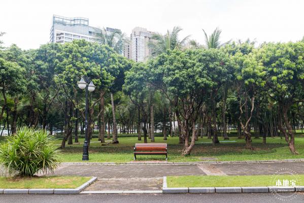 深圳中心公园