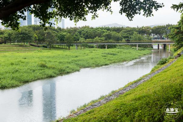 深圳中心公园