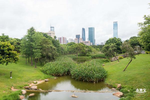 深圳中心公园
