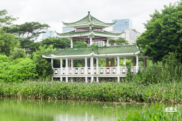 深圳中心公园
