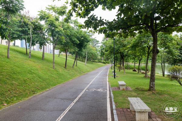 深圳中心公园