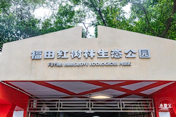 福田红树林生态公园