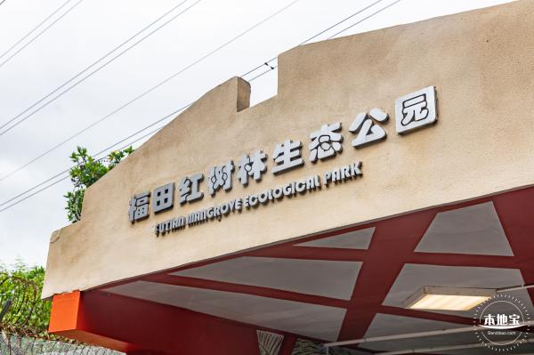 福田红树林生态公园