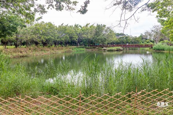 福田红树林生态公园