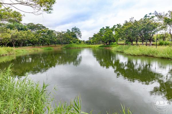 福田红树林生态公园