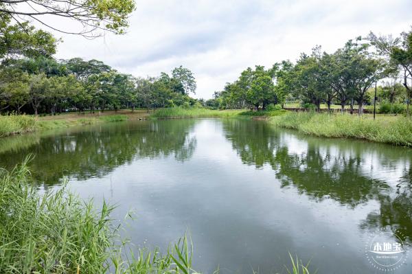 福田红树林生态公园