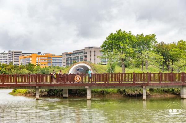 福田红树林生态公园