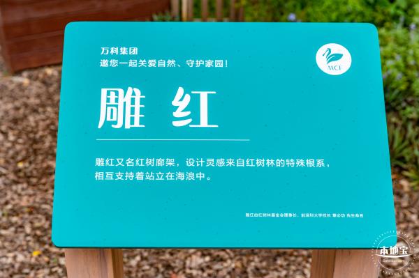 福田红树林生态公园