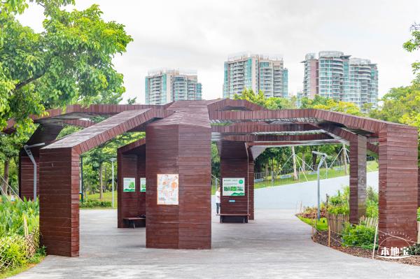 福田红树林生态公园
