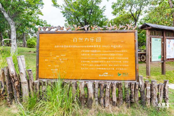 福田红树林生态公园