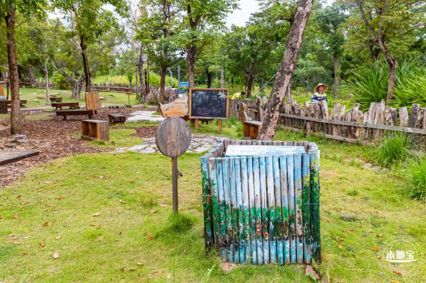 福田红树林生态公园