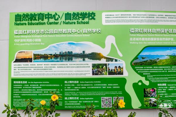 福田红树林生态公园