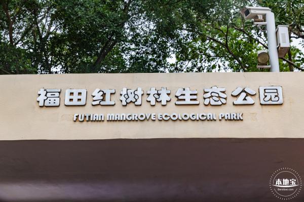 福田红树林生态公园