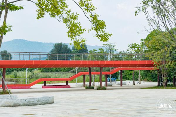 银叶树湿地公园