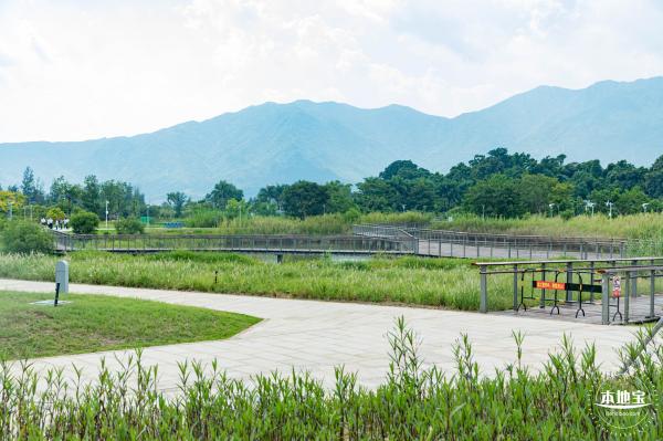 银叶树湿地公园