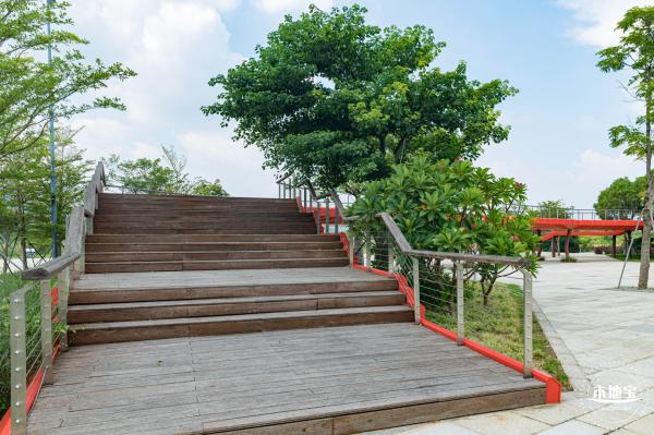 银叶树湿地公园
