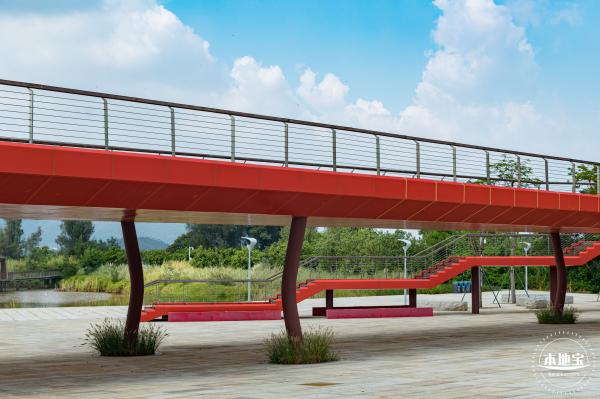 银叶树湿地公园