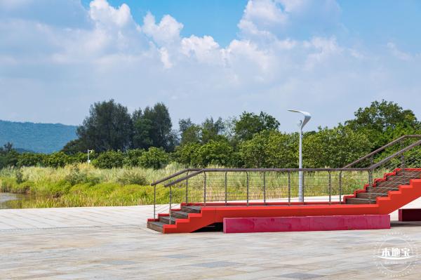 银叶树湿地公园