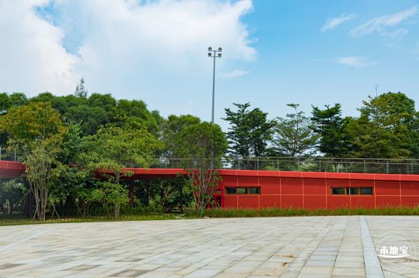 银叶树湿地公园