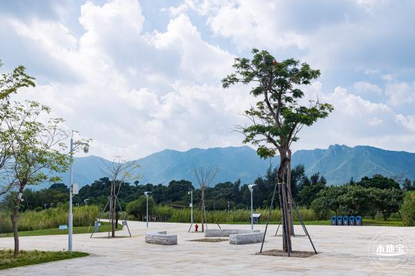 银叶树湿地公园