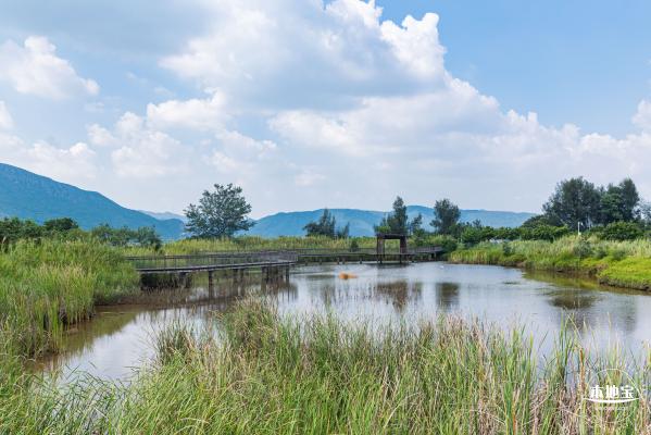银叶树湿地公园