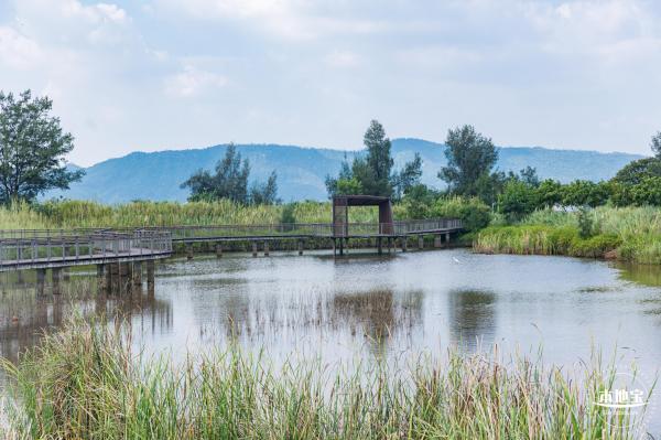 银叶树湿地公园