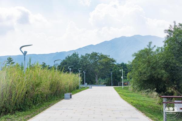 银叶树湿地公园