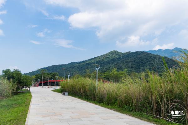 银叶树湿地公园